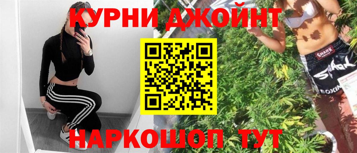 Бошки Шишки сатива Алатырь